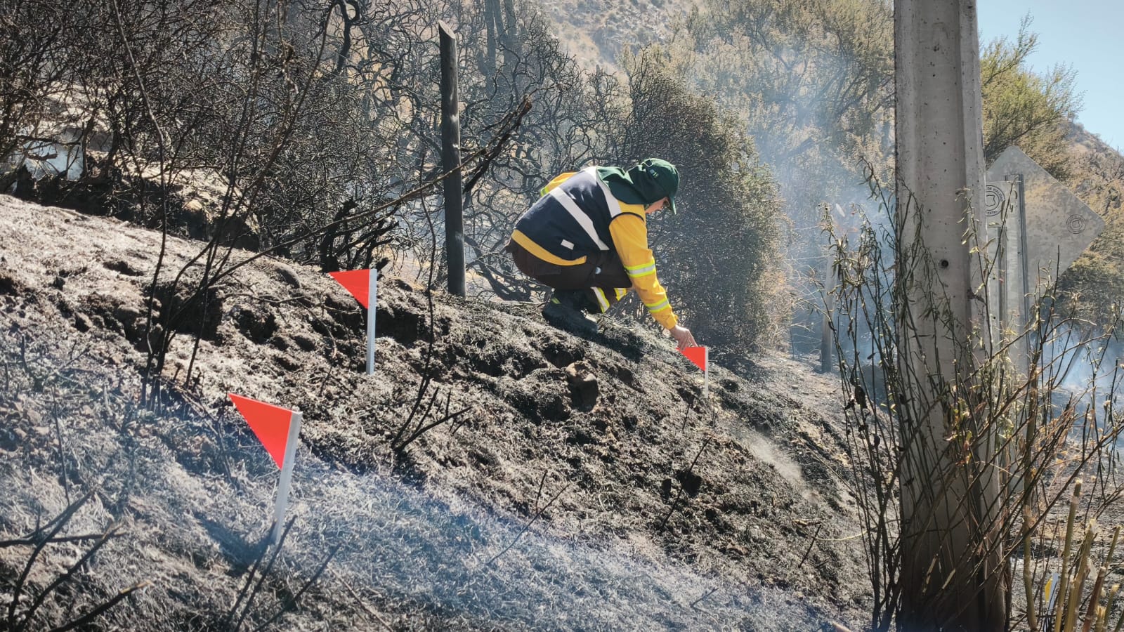 WhatsApp Image 2026 02 17 at 19.42.48