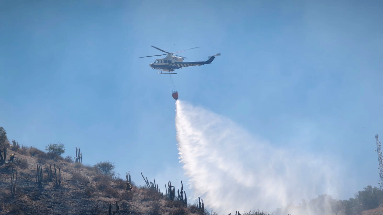 WhatsApp Image 2026 02 17 at 19.52.05