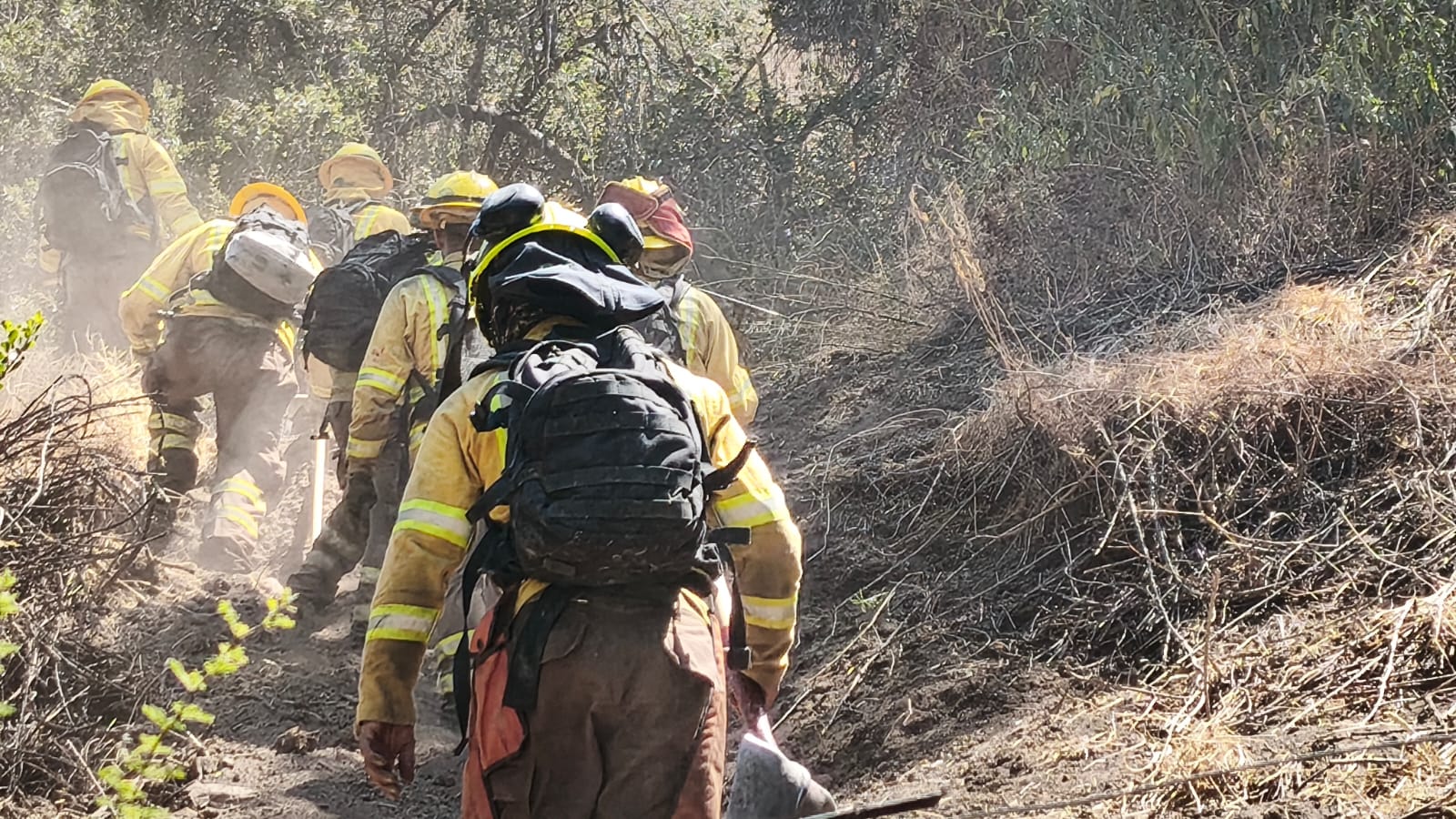 WhatsApp Image 2026 02 18 at 18.46.35 1