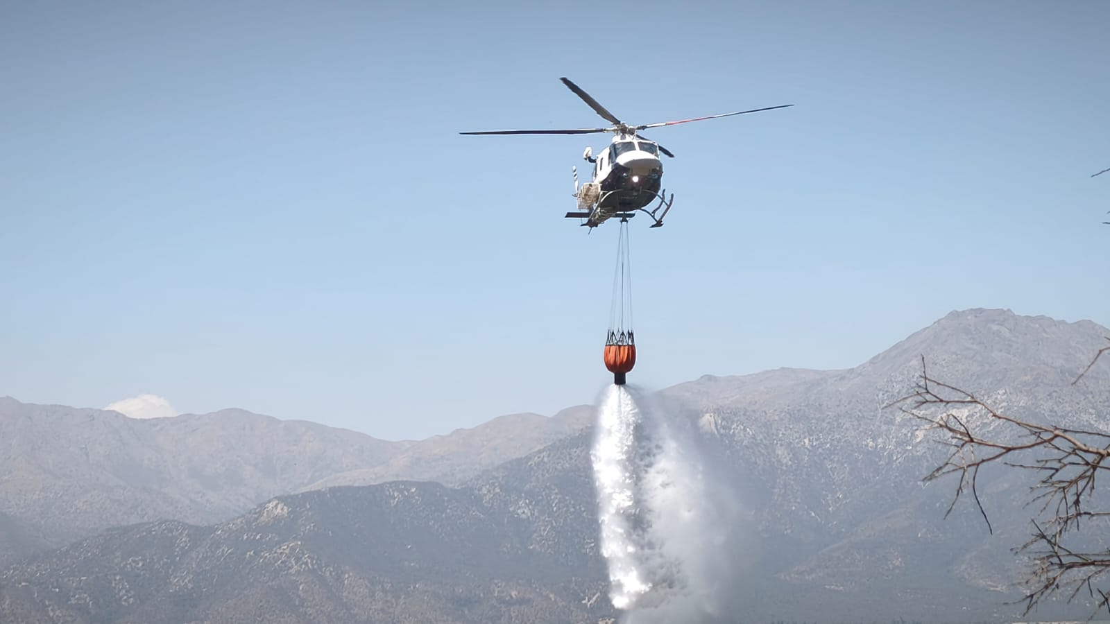 WhatsApp Image 2026 02 18 at 18.46.37