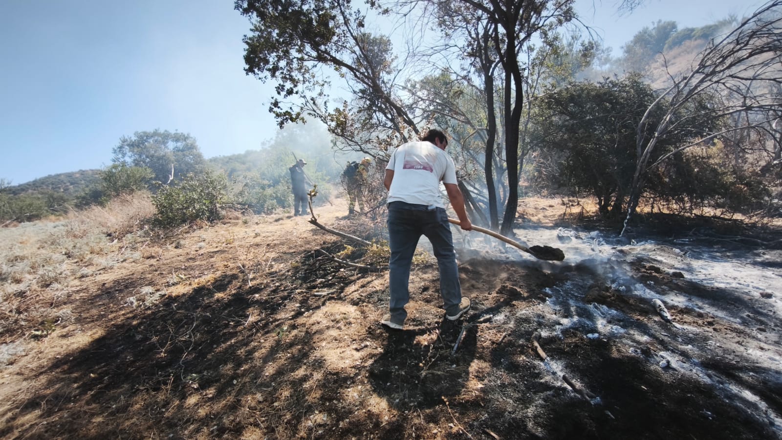 WhatsApp Image 2026 02 18 at 18.46.39