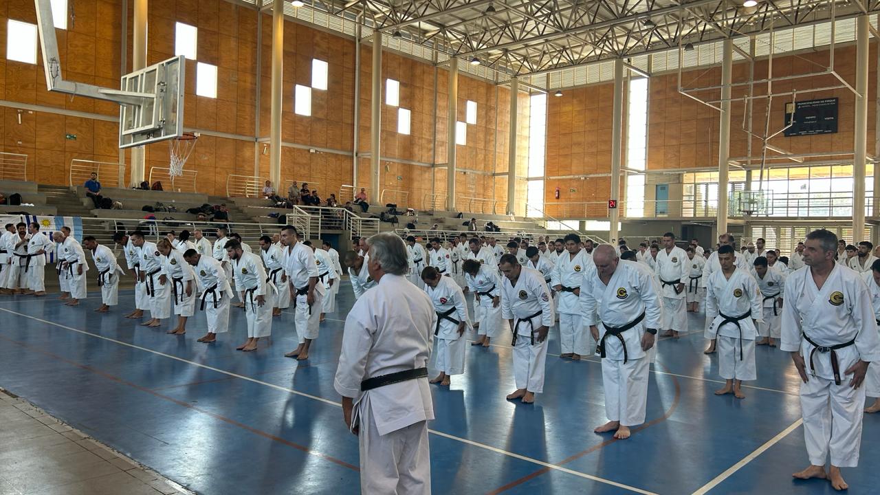 WhatsApp Image 2026 03 14 at 16.37.46 1