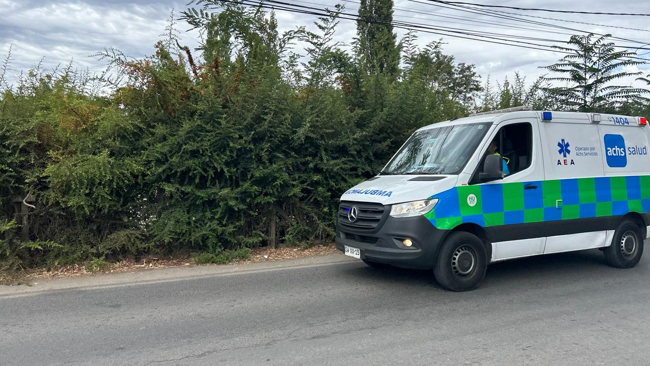 WhatsApp Image 2026 03 16 at 13.15.38 2