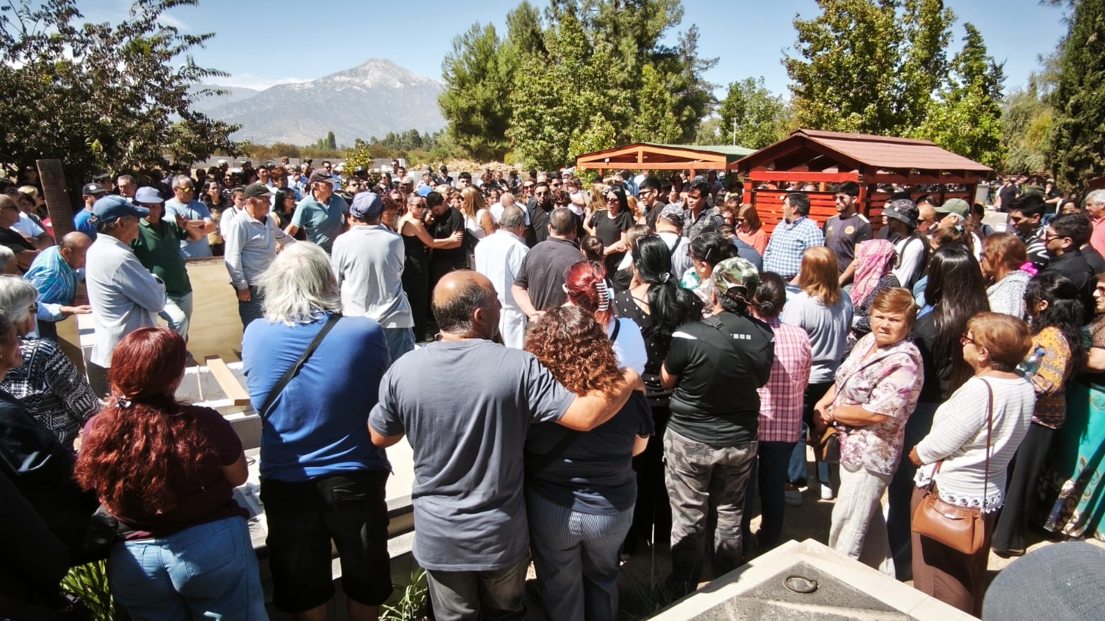 WhatsApp Image 2026 03 19 at 18.34.03