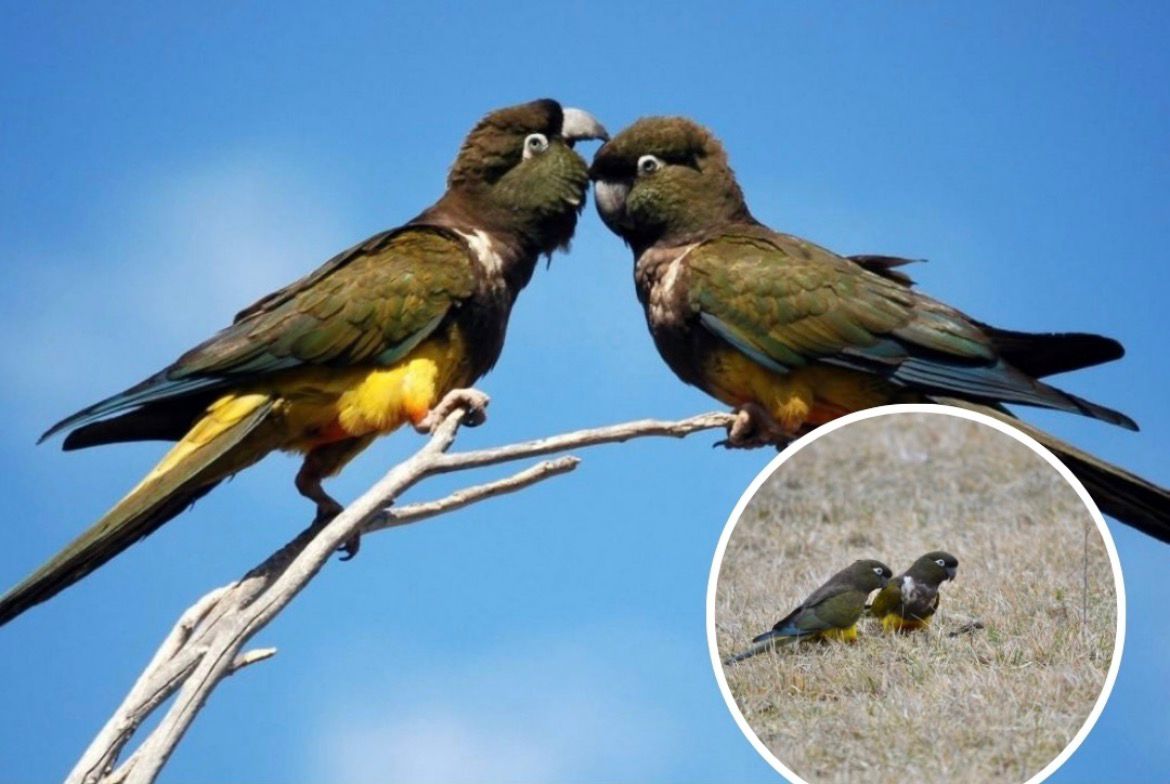 WhatsApp Image 2026 03 26 at 11.51.25 1