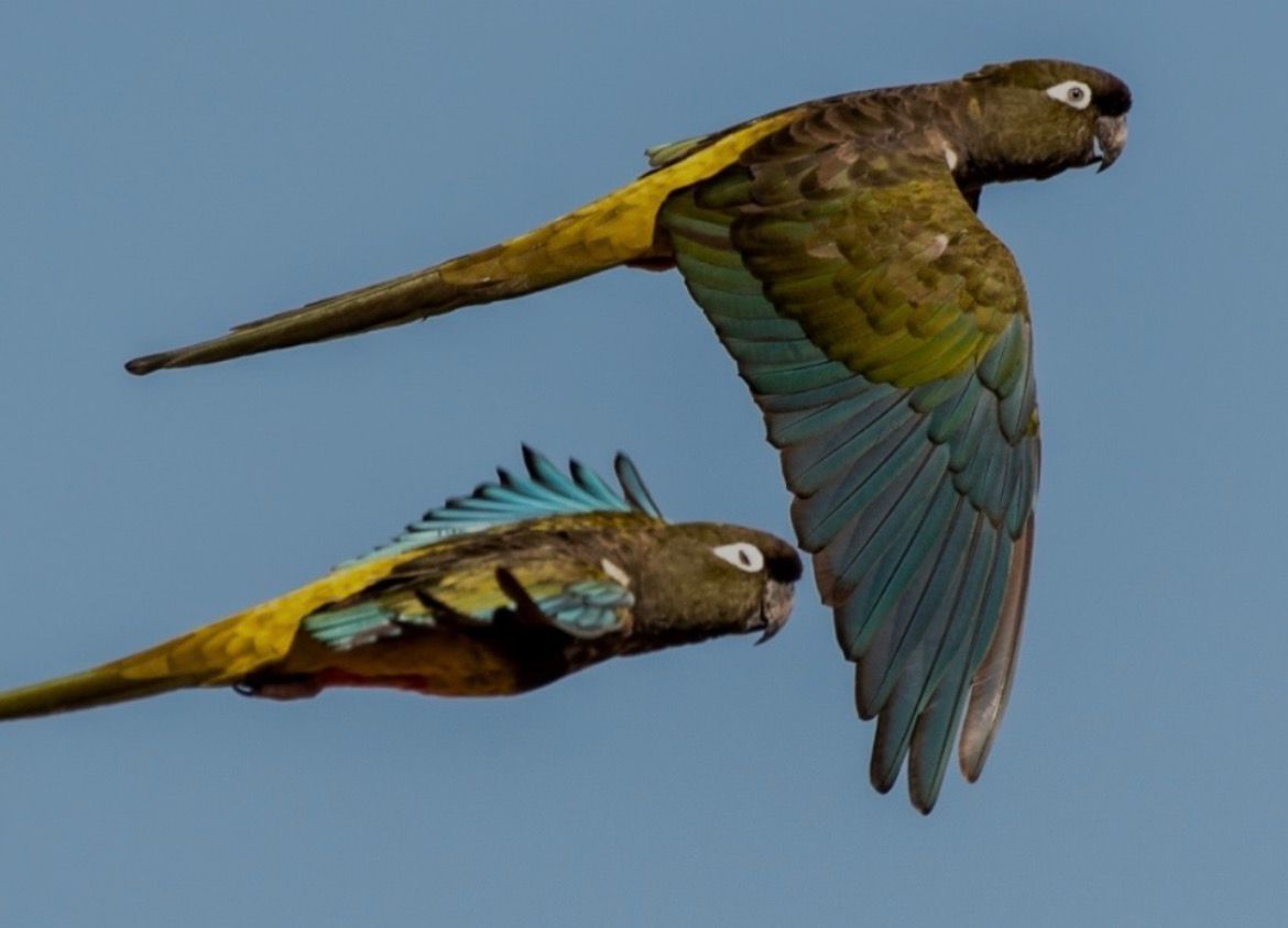 WhatsApp Image 2026 03 26 at 11.51.26