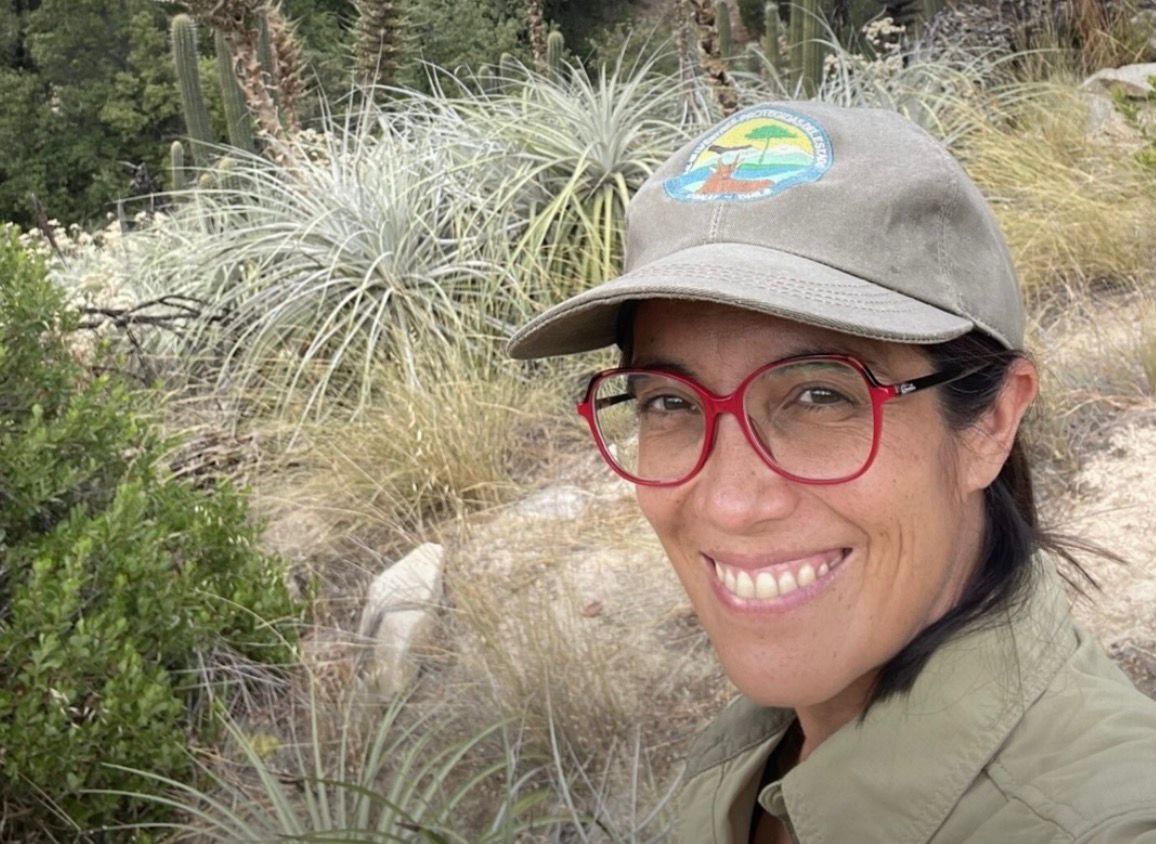 WhatsApp Image 2026 03 26 at 12.04.11