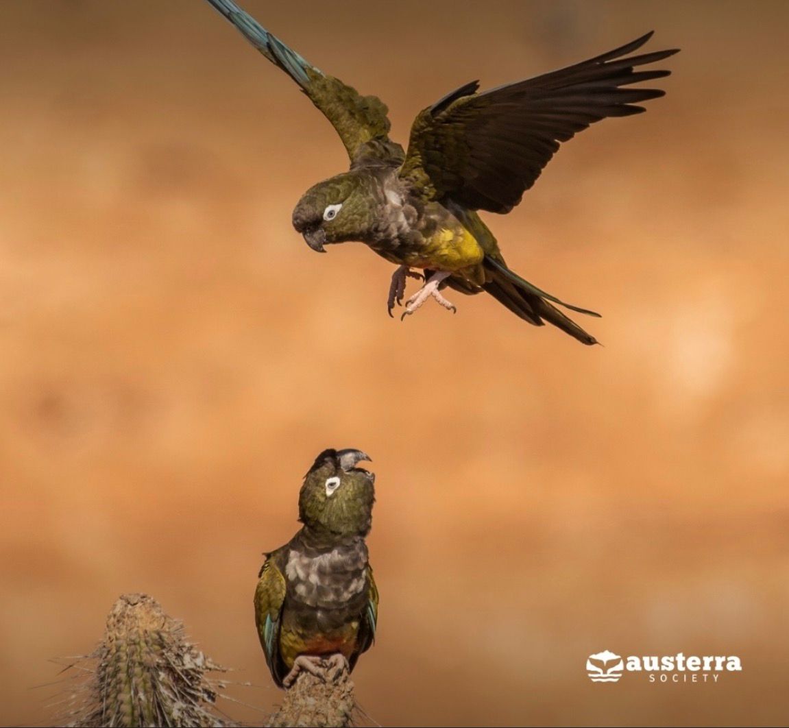 WhatsApp Image 2026 03 26 at 13.13.21