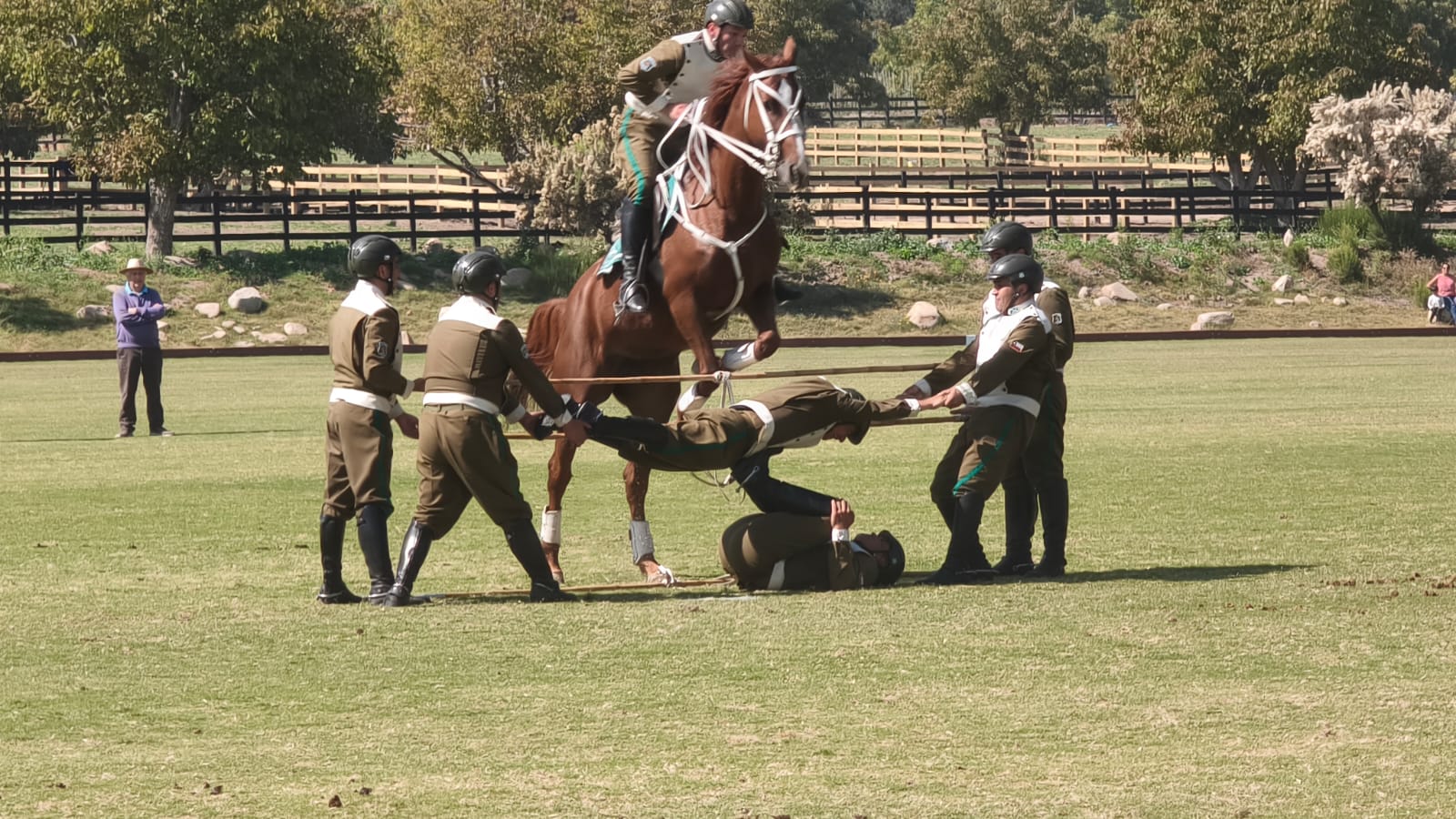 WhatsApp Image 2026 04 09 at 15.22.25