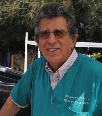 alejandro elkins2