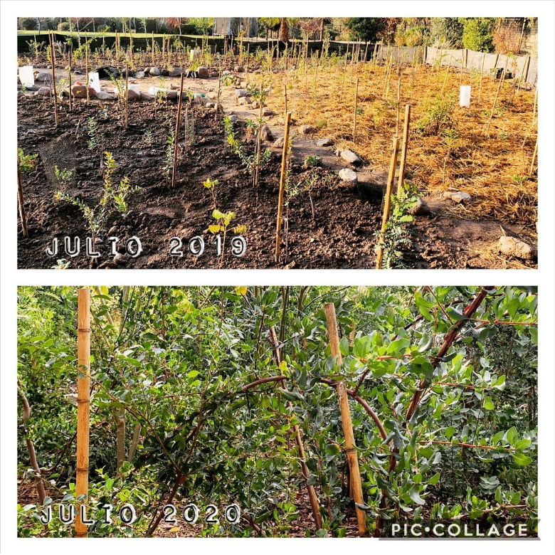 antes y despues