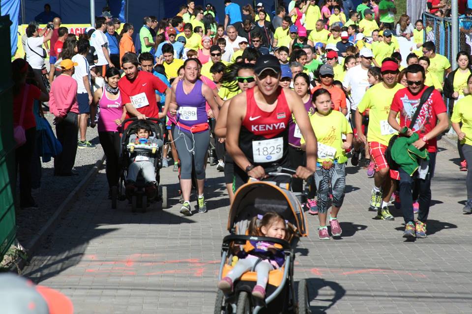 mmaraton2