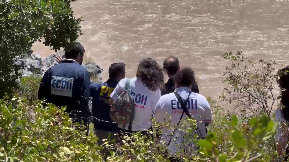 frame 1102 sefgsedrg