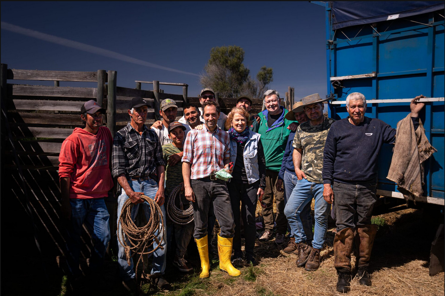 guanaco cordillera san jose de maipo0033