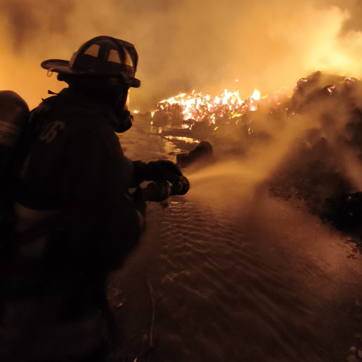 incendio papelera 00001111111