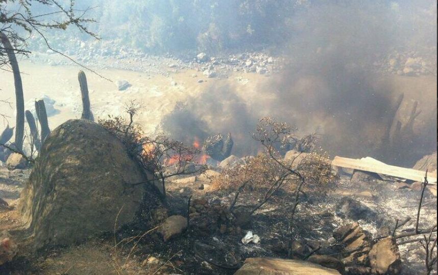 incendioforestal003