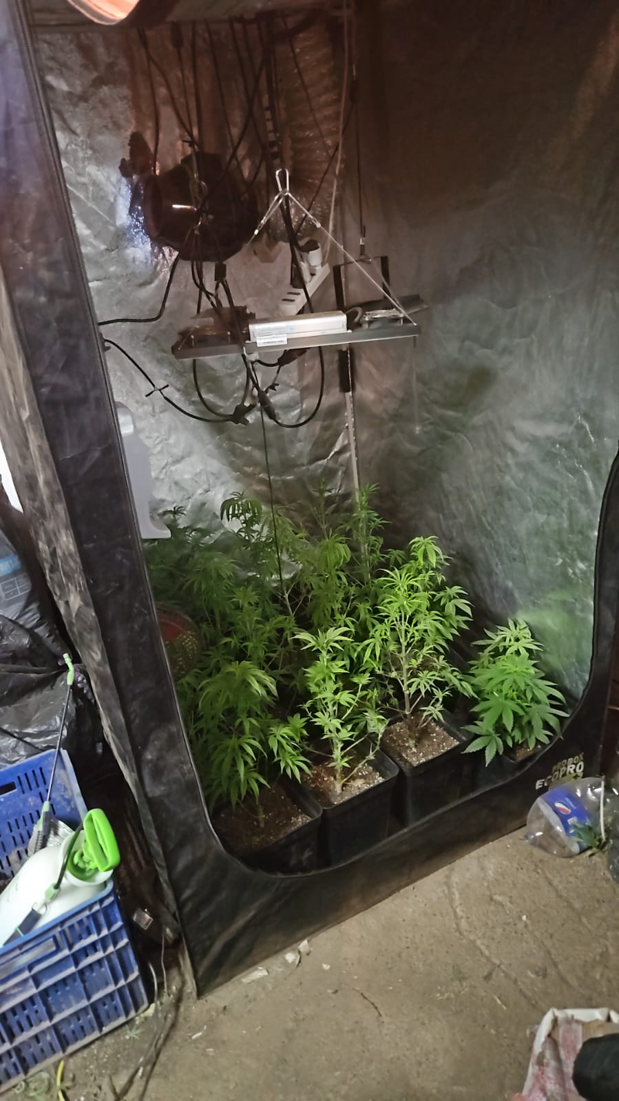 indoor222