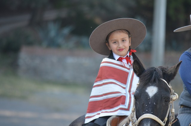 DSC 0264 manda