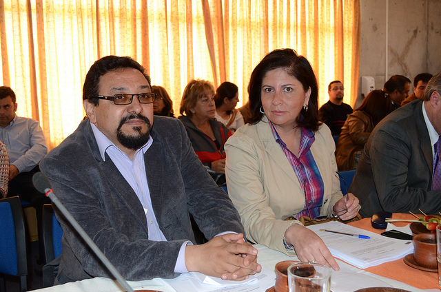 sesionplenaria5