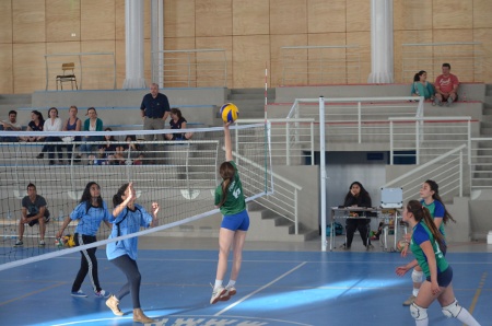 voleibolmontserrat6